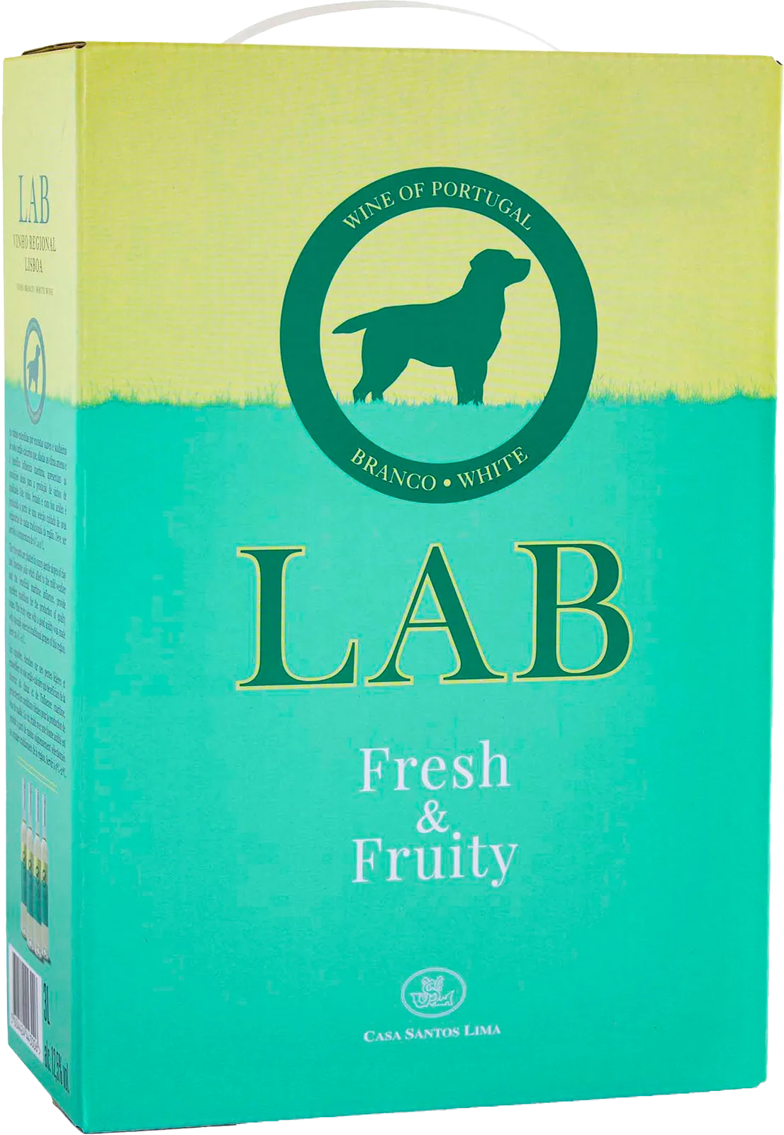 32020-casa-santos-lima-lab-white.webp